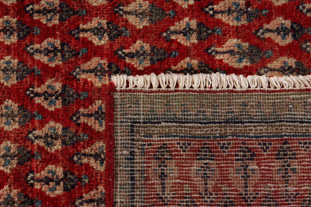 5701 Arak Handmade Persian Rug